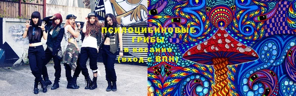 марки lsd Алексеевка