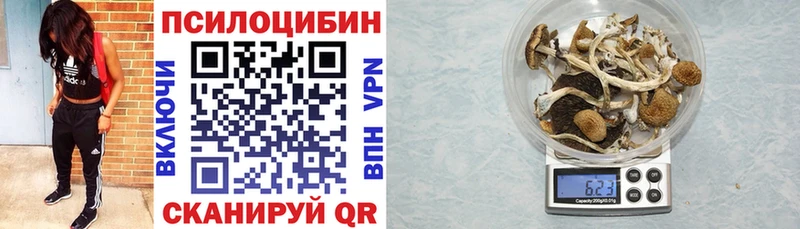 Псилоцибиновые грибы Magic Shrooms  где найти   Тула 