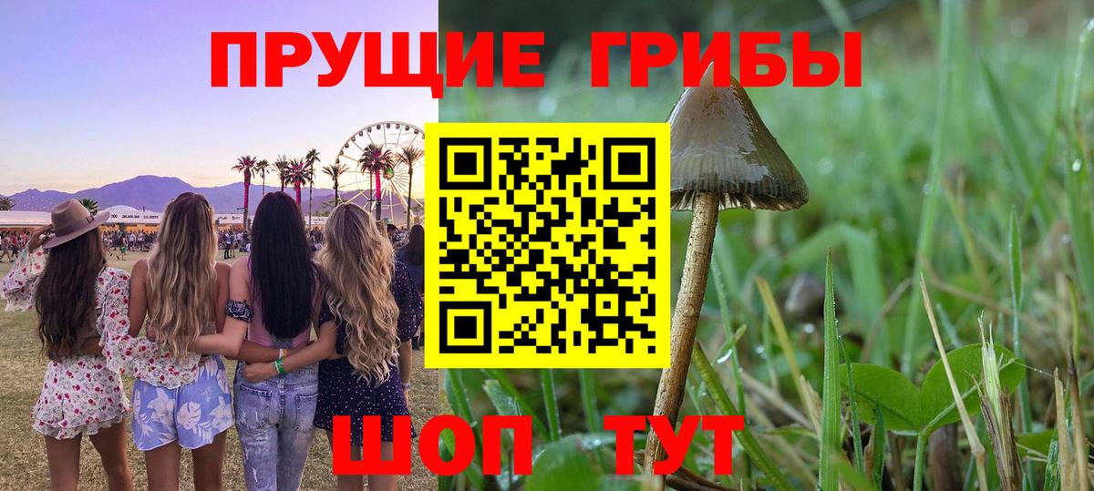 Псилоцибиновые грибы MAGIC MUSHROOMS Тула